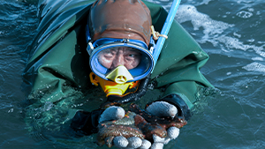 優(yōu)勢(shì)展示