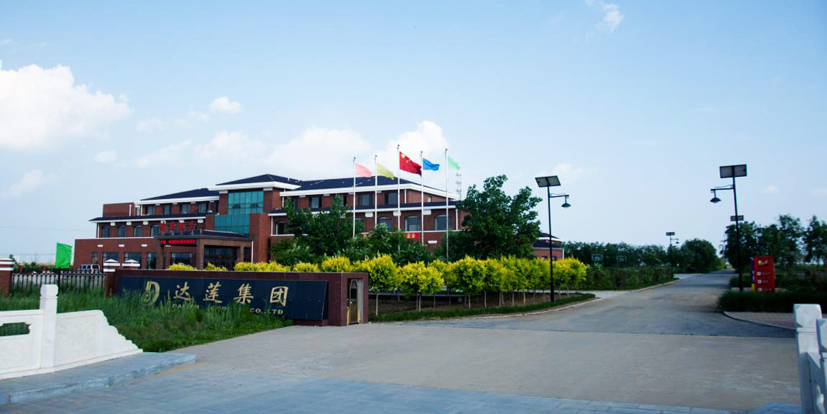 熱烈慶祝達(dá)蓮海參網(wǎng)站正式上線！