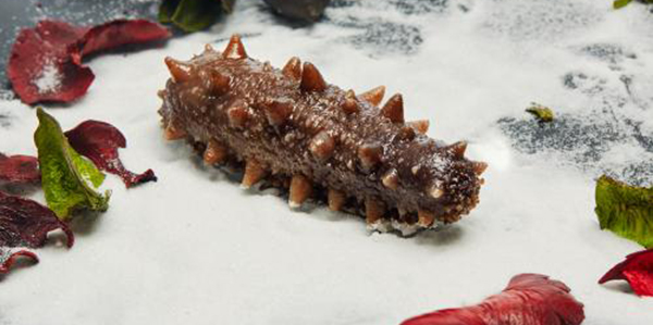 怎樣快速的區(qū)分淡干海參、鹽干海參和凍干海參？